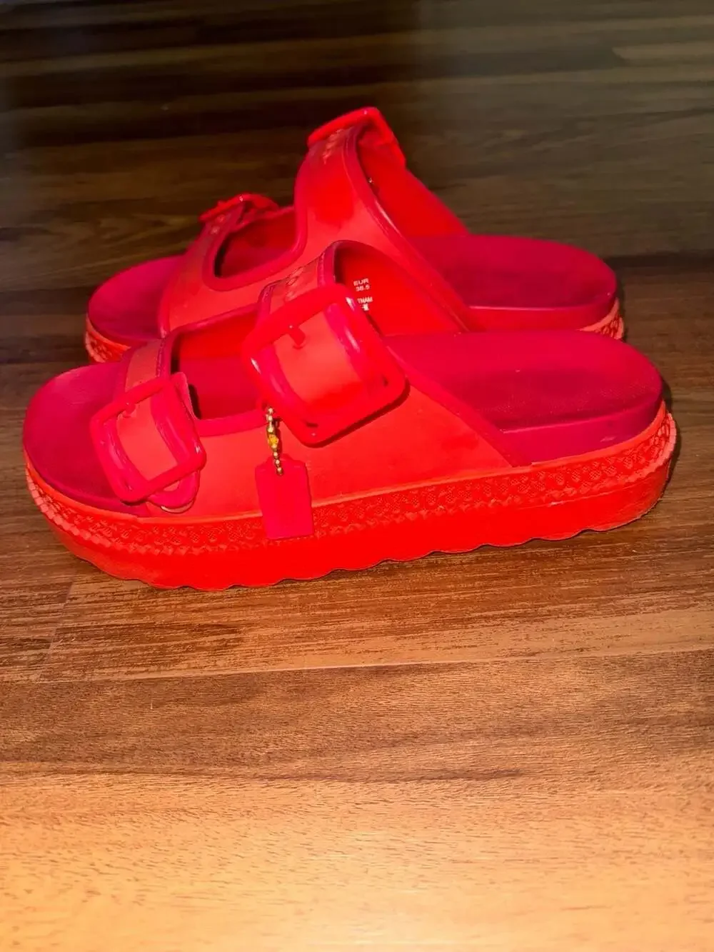 Coach Lucy Platform Rubber Sandal